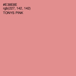 #E38E8E - Tonys Pink Color Image